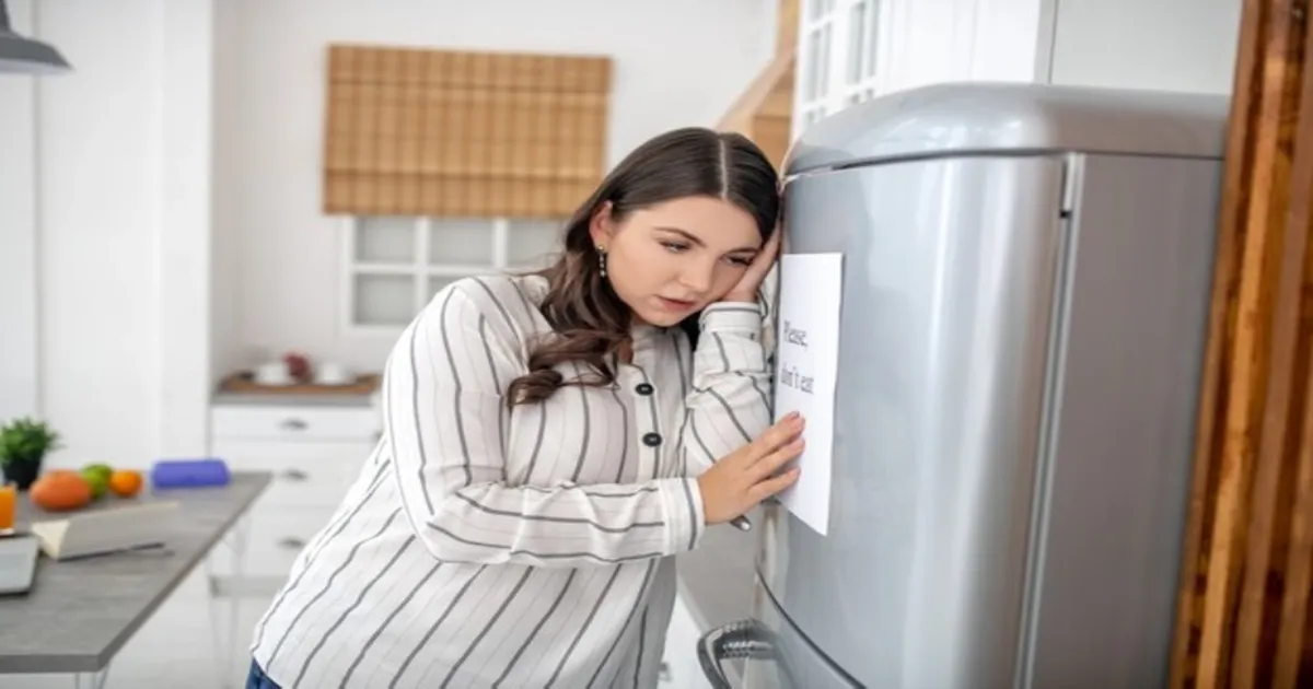 علت صدای تق تق یخچال چیست؟