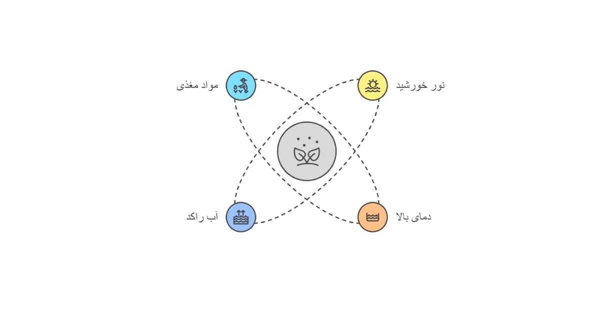 علت تشکیل جلبک در مخزن آبسردکن و راههای از بین بردن جلبک در مخزن آبسردکن چیست؟